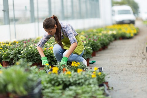 Gardener inspecting a residential garden close-up