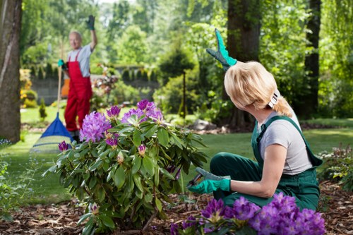 Team member working on a Walthamstow garden, representing company commitment