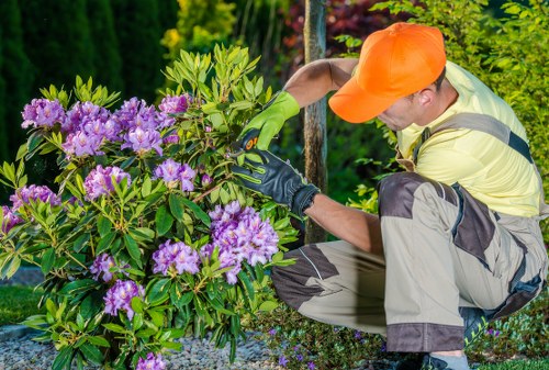 Gardener mowing a small urban lawn with low-emission equipment