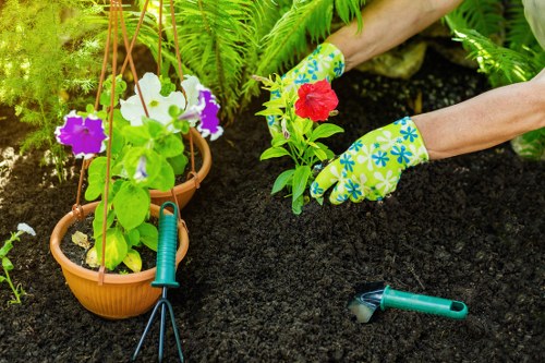 Garden pest control in action