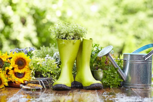 Professional team working on garden care in Walthamstow