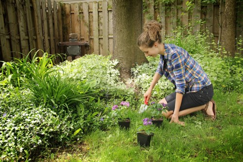 Sustainable landscaping practices in Walthamstow