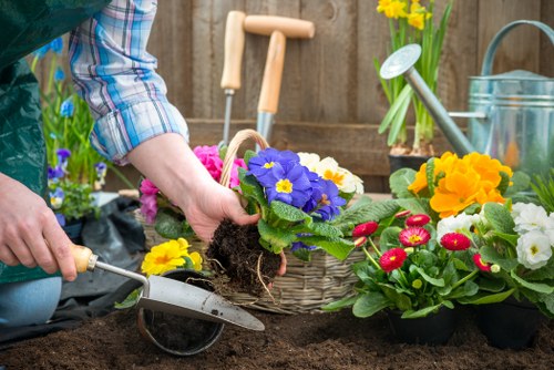 The image shows a person planting a vibrant purple flowering plant into the soil of a garden bed, with their hands carefully handling the roots. Surrounding the planting area are various potted flowers in bright yellow, red, and white colors, adding visual interest and natural tones. In the background, a weathered wooden fence provides a boundary for the outdoor space, which appears to be a well-maintained garden or backyard. Gardening tools, including a trowel and watering can, are visible on a nearby surface, indicating ongoing gardening activity. The garden features a mix of soil, flower beds, and potted plants, demonstrating a neat and organized outdoor environment suitable for gardening and landscaping care. Light appears to be natural daylight, suggesting fair weather conditions, typical of a garden maintained by local service providers like Garden Maintenance Walthamstow, who specialize in gardening and outdoor maintenance services in the Walthamstow area.