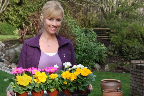 Sustainable garden practices in Walthamstow